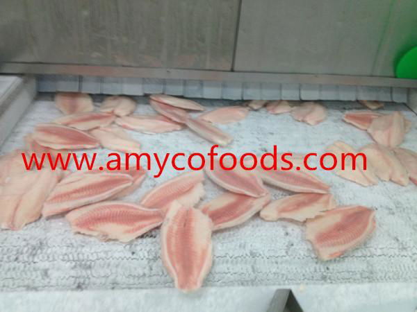 Frozen tilapia fillets high quality and very low price 2