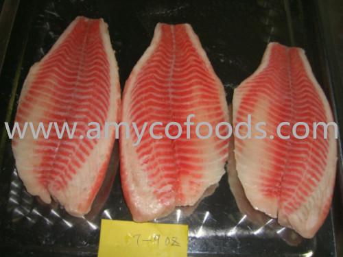 Frozen tilapia fillets good quality good price