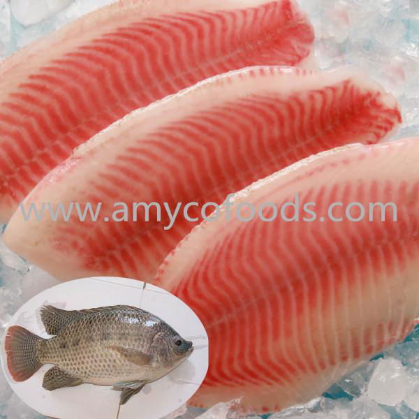 Frozen tilapia fillets good quality good price 3