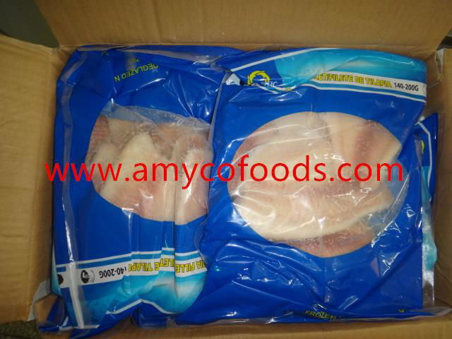 Frozen tilapia fillets good quality good price 4