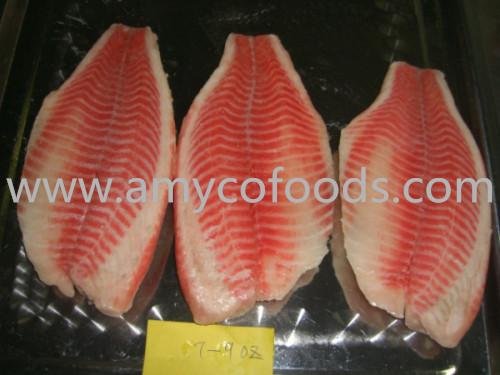 Frozen tilapia fillets with high quality and low price 2