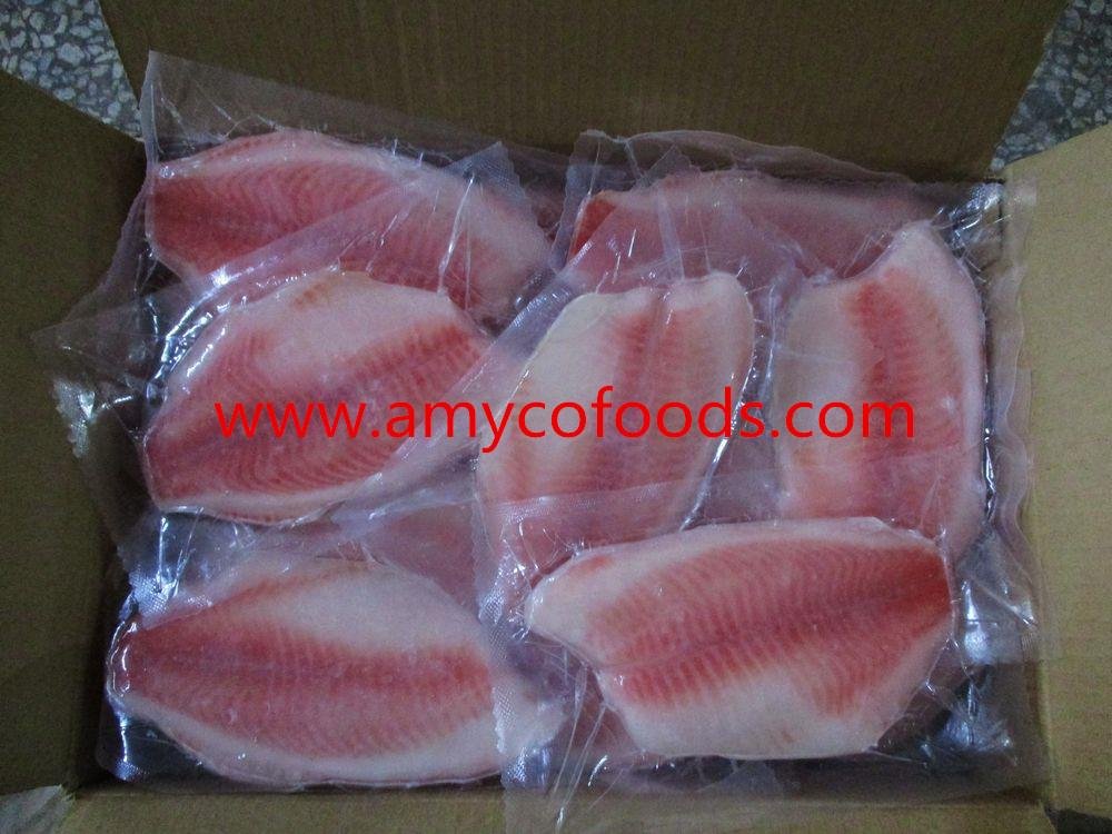 Co treated frozen tilapia fillets very becatiful
