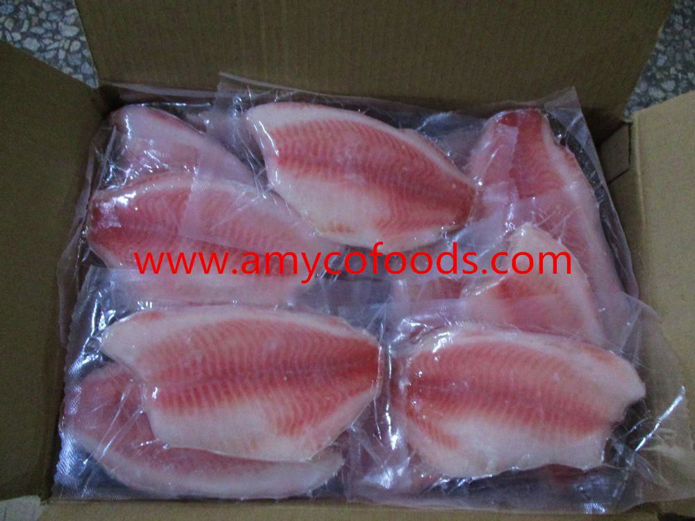 Co treated frozen tilapia fillets very becatiful 2