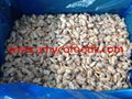 Frozen boiled short neck clam meat all sizes 2