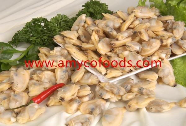 Frozen boiled short neck clam meat all sizes 4