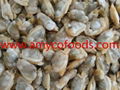 Frozen cooked short neck clam meat good