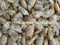Frozen cooked short neck clam meat good quality good price 5