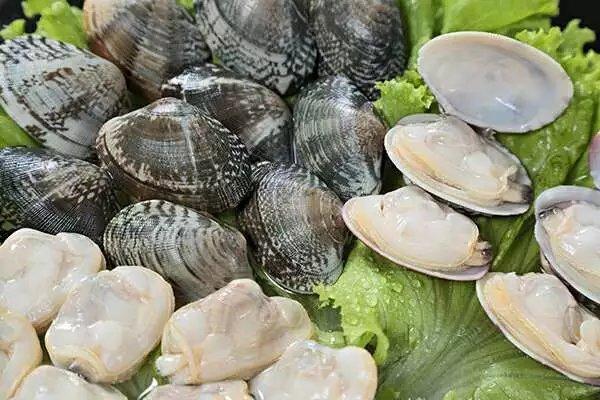 Frozen cooked short neck clam meat good taste good price 2