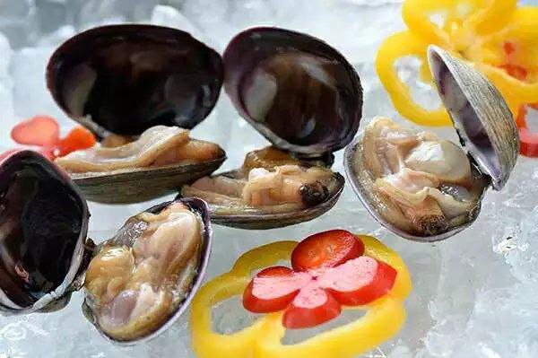 Frozen cooked short neck clam meat good taste good price 4