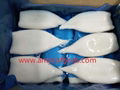 Frozen squid tubes good quality good price