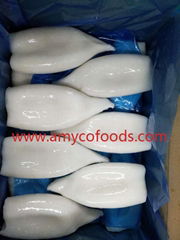 Frozen squid tube high quality and
