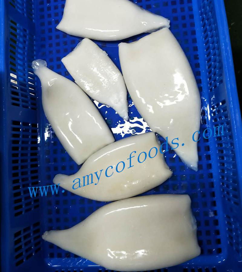 Frozen squid tube high quality and competitive price 3