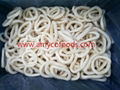 Frozen squid ring high quality with