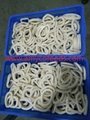 Frozen squid ring high quality with competitive price 3