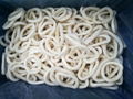 Frozen squid rings high quality and competitive price 5