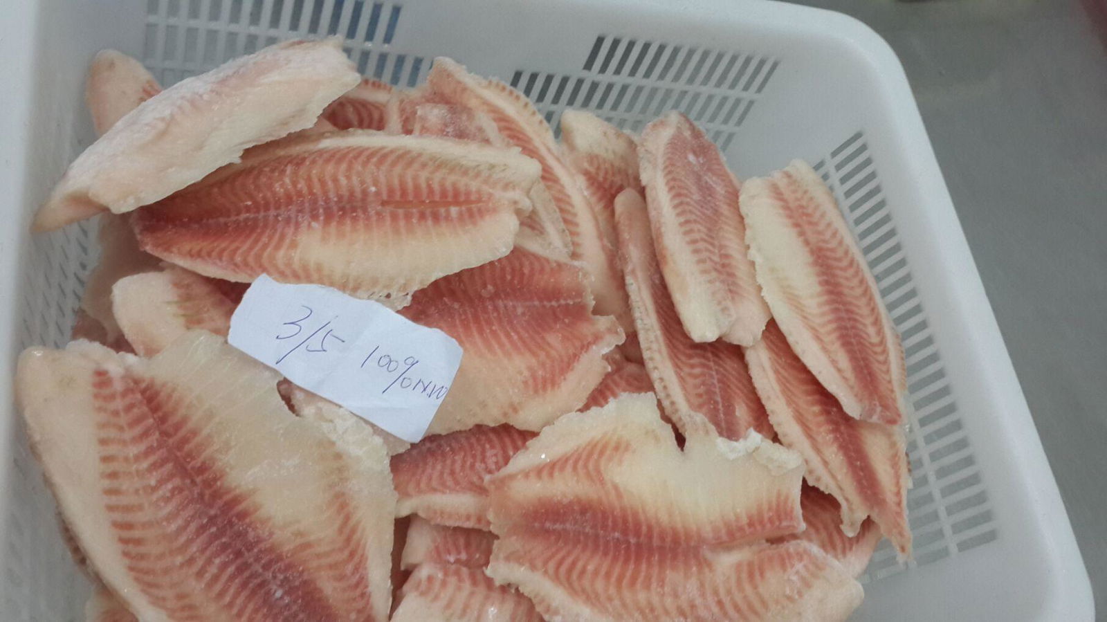 Healthy frozen tilapia fillets no CO treated