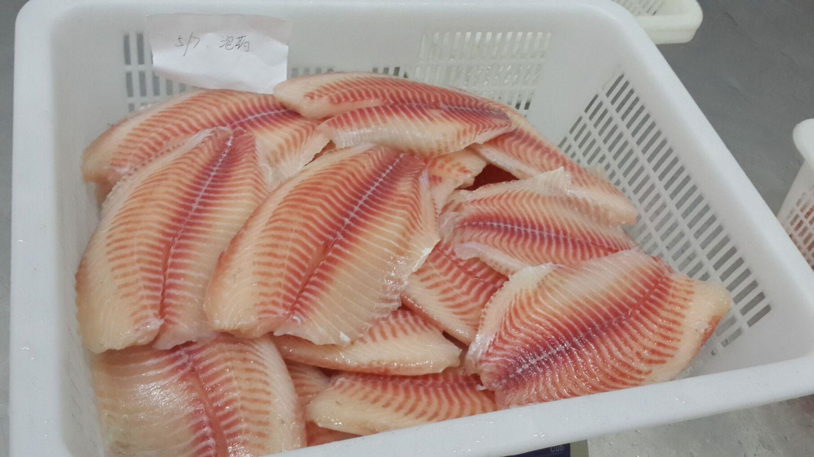 Healthy frozen tilapia fillets no CO treated 4