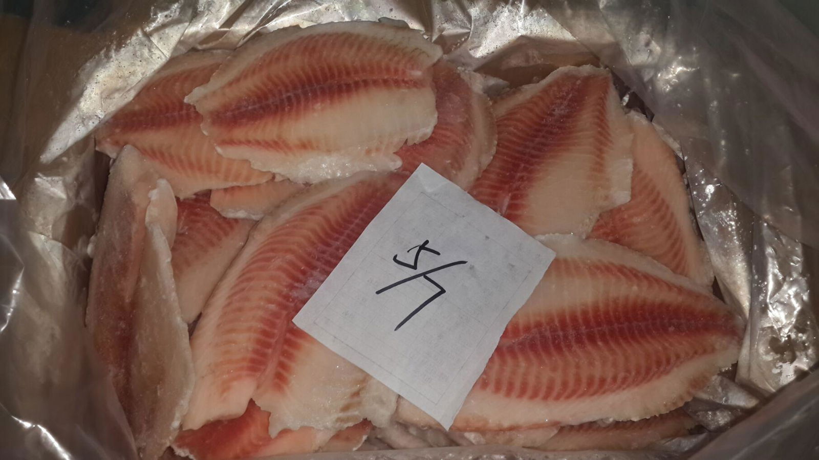 Frozen tilapia fillets high quality and low price