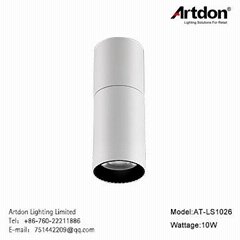 Artdon 10W Hot sell Surface Mounted Light AT-LS1026