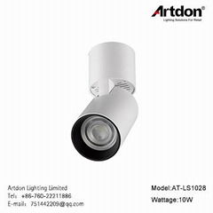 Artdon 10W Surface Mounted Light AT-LS1028