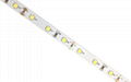 Waterproof LED strip   1