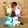 Creative 50cm Light Up LED Teddy Bear