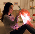 50CM Length Creative Night Light LED Dog Stuffed and Plush Toys Lovely Light Up  2