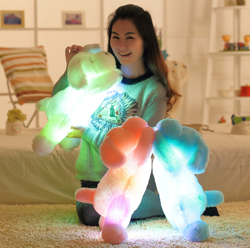 50CM Length Creative Night Light LED Dog Stuffed and Plush Toys Lovely Light Up  3