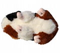 Lifelike Guinea Pig Plush Toys Simulation Mouse Mini Hamster Plush Dolls Stuffed 2