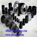 forged flanges 4