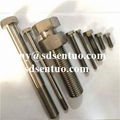 titanium fastener