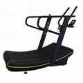 Assault Fitness Curve Treadmill 4