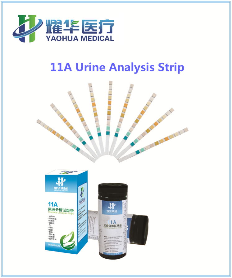 urine test strip 2