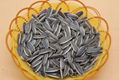 Hot Dried Raw Sunflower Seeds