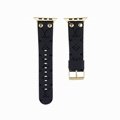 Louis Vuitton New design rivet model beautiful Apple watch belt 38/40/41/42/44/4