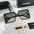 Wholesale hot 2024 new CC 8389 fashion sunglasses  top quality sunglasses 