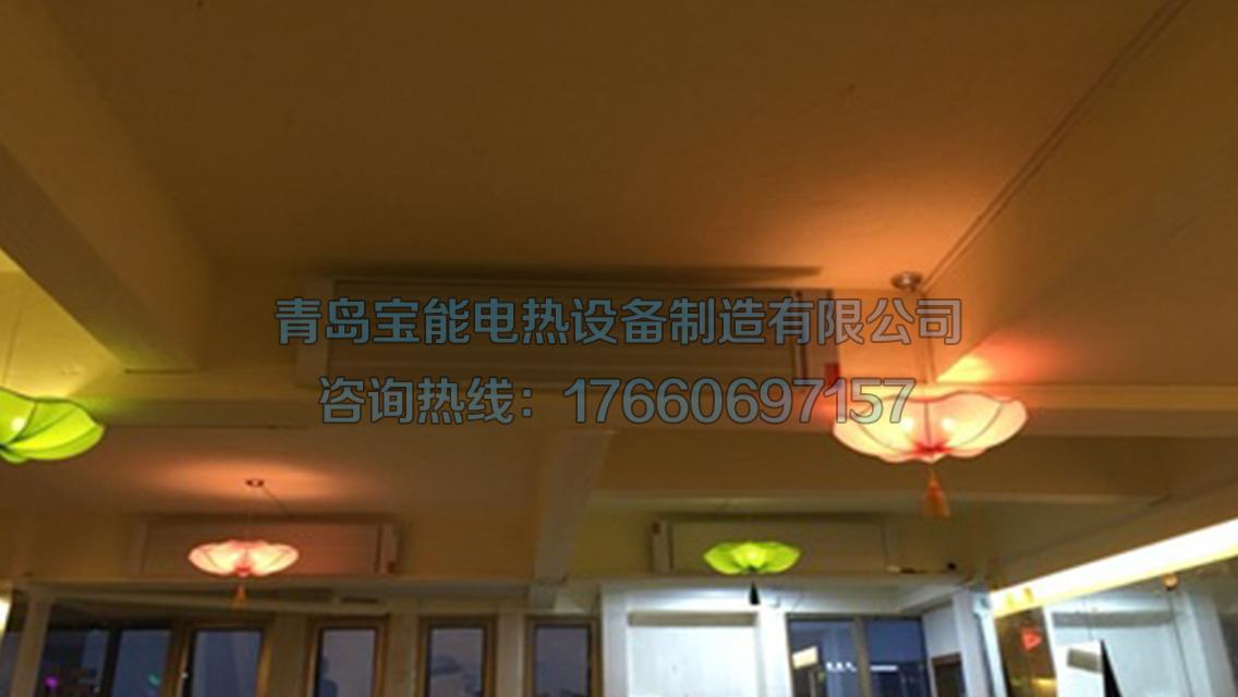 供應各型號高溫瑜伽設備電熱幕 5