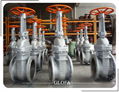 CAST STEEL BOLTED BONNET GATE VALVE