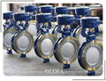 HIGH PERFORMANCE DOUBLE OFFSET BUTTERFLY VALVE 1
