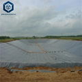 2.0mm Top Quality Durable Waterproofing Geomembrane for Fish Farming