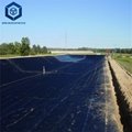 2.0mm Top Quality Durable Waterproofing Geomembrane for Fish Farming 3
