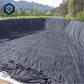 2.0mm Top Quality Durable Waterproofing Geomembrane for Fish Farming 4