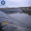 2.0mm Top Quality Durable Waterproofing Geomembrane for Fish Farming 5