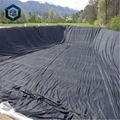 1.0mmHigh Quality Polyester Geomembrane