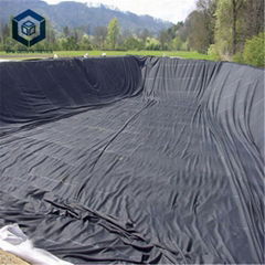 1.0mmHigh Quality Polyester Geomembrane Pond Linersfor Landfill