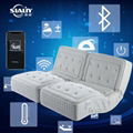 Perfect Relaxation Skin Soft Intelligent Furniture Electric Adjustable Mattress