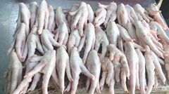 Grade A and B Processed and Unprocessed Halal Frozen chicken feet
