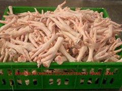 quality halal frozen whole chicken feet 