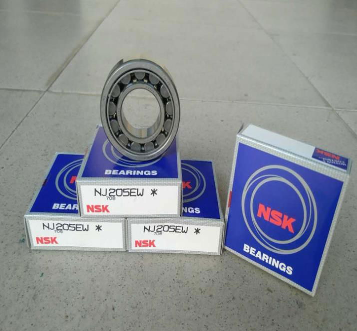 Nj205 SKF. NSK nj2210w. NJ 205 ECP подшипник. Подшипник cs205lu NSK.