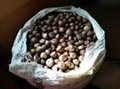 High Quality Betel Nuts 3